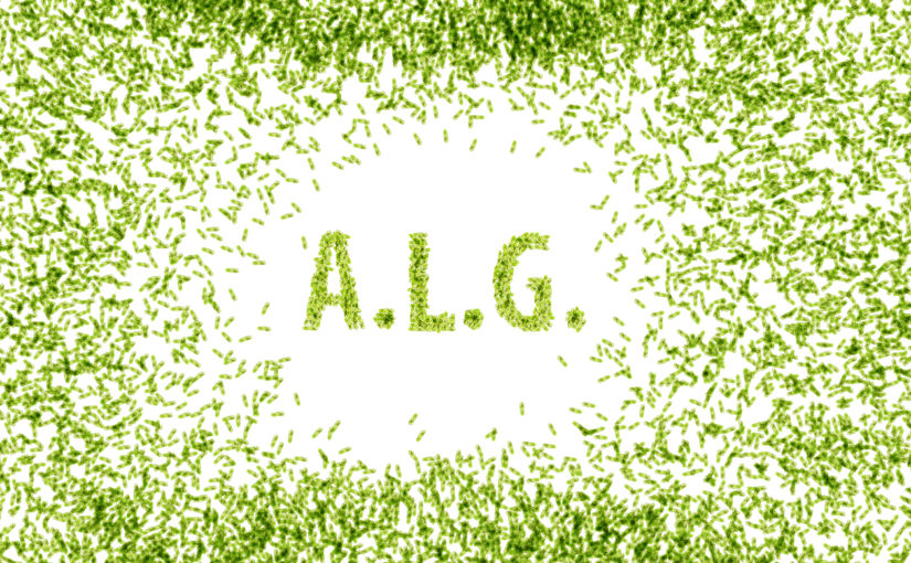 A.L.G.